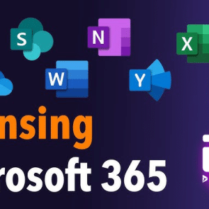 How Microsoft Office 365 Licensing Keeps Your Business Compliant with the Latest Standards